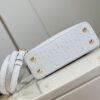 Louis Vuitton Capucines Mini