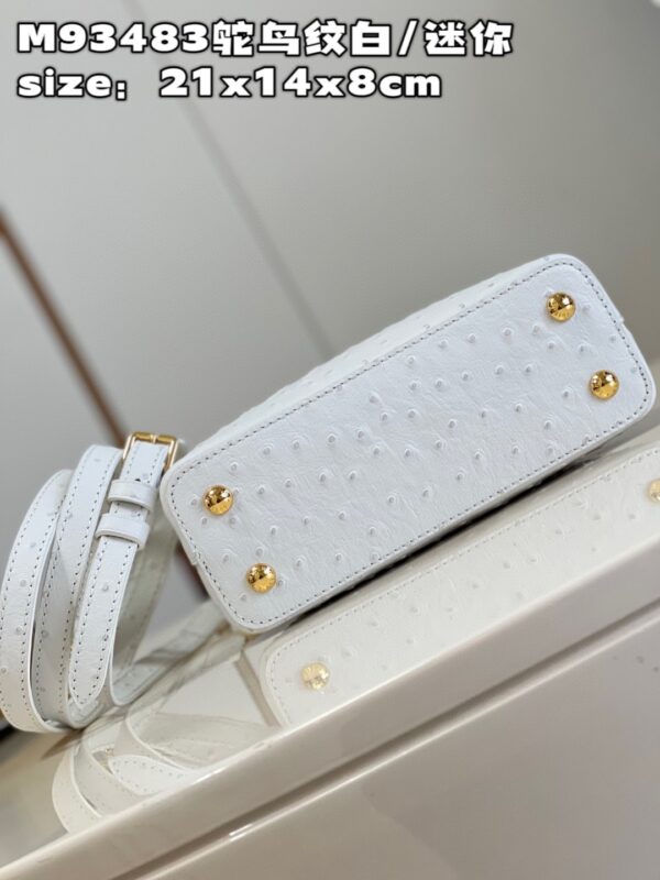 Louis Vuitton Capucines Mini