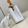 Louis Vuitton Capucines Mini