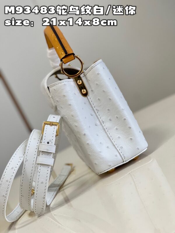 Louis Vuitton Capucines Mini