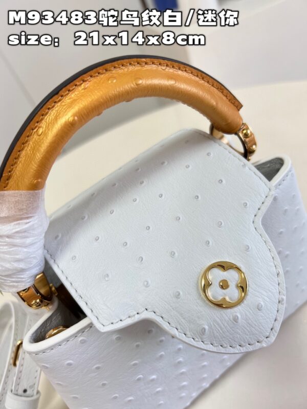 Louis Vuitton Capucines Mini