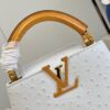 Louis Vuitton Capucines Mini