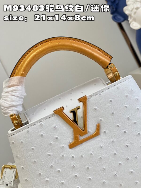 Louis Vuitton Capucines Mini
