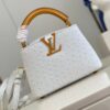 Louis Vuitton Capucines Mini