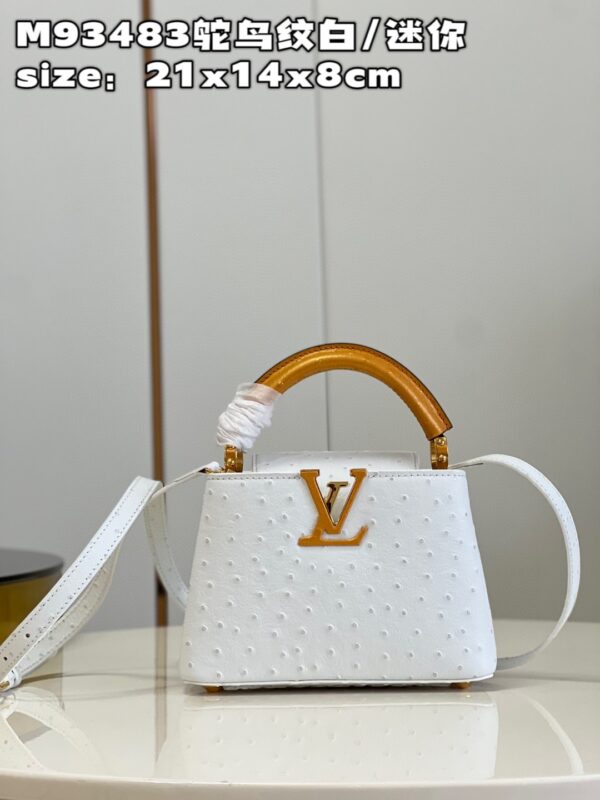 Louis Vuitton Capucines Mini
