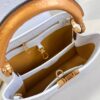 Louis Vuitton Capucines BB