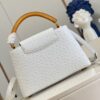 Louis Vuitton Capucines MM