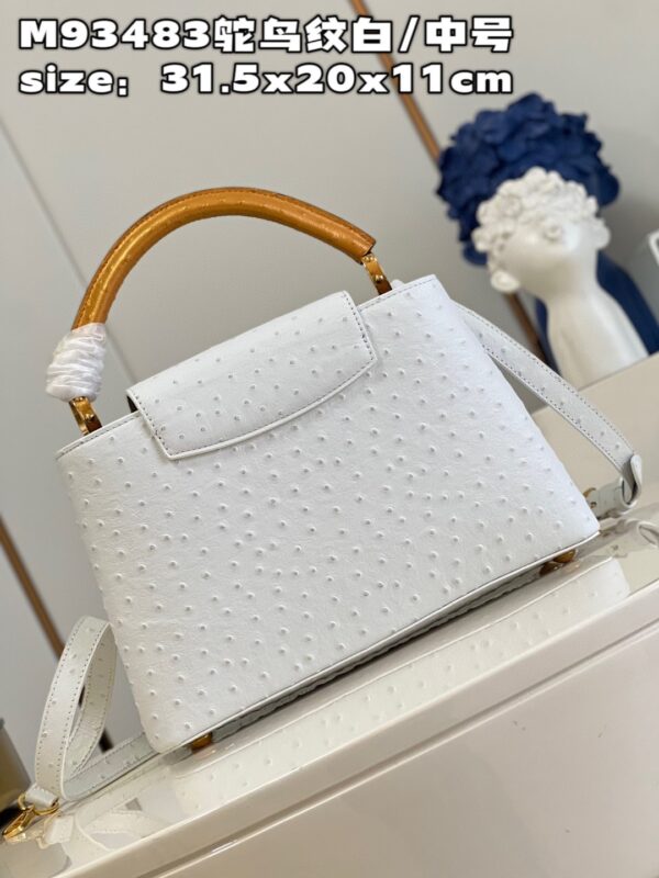 Louis Vuitton Capucines MM