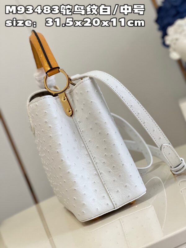 Louis Vuitton Capucines MM