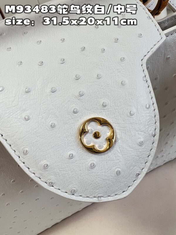Louis Vuitton Capucines MM