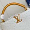 Louis Vuitton Capucines MM