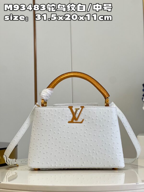 Louis Vuitton Capucines MM