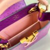 Louis Vuitton Capucines Mini