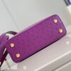 Louis Vuitton Capucines Mini