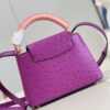 Louis Vuitton Capucines Mini