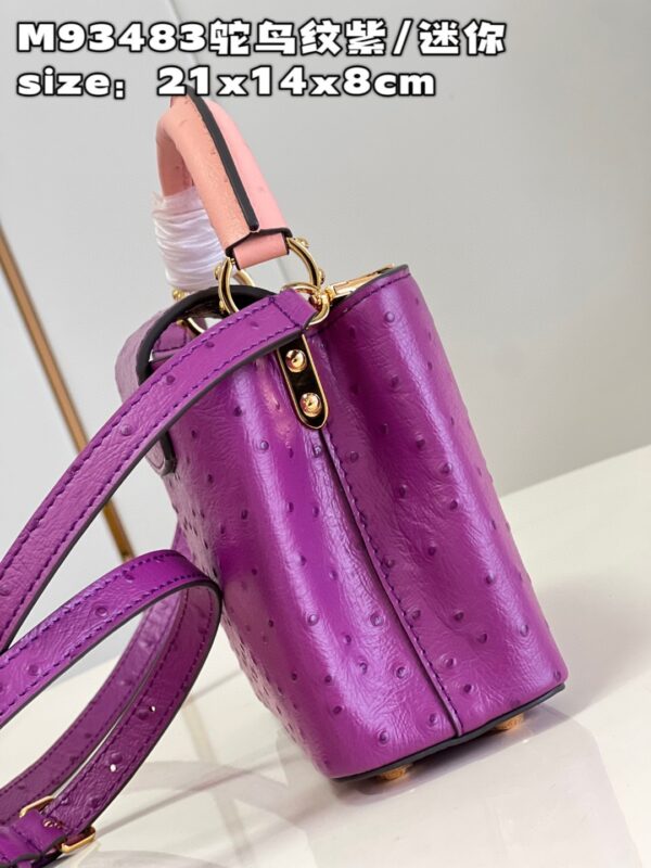 Louis Vuitton Capucines Mini