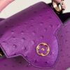 Louis Vuitton Capucines Mini