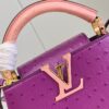 Louis Vuitton Capucines Mini