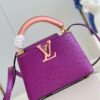 Louis Vuitton Capucines Mini