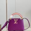 Louis Vuitton Capucines Mini