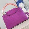Louis Vuitton Capucines MM