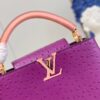 Louis Vuitton Capucines MM