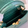 Louis Vuitton Capucines Mini