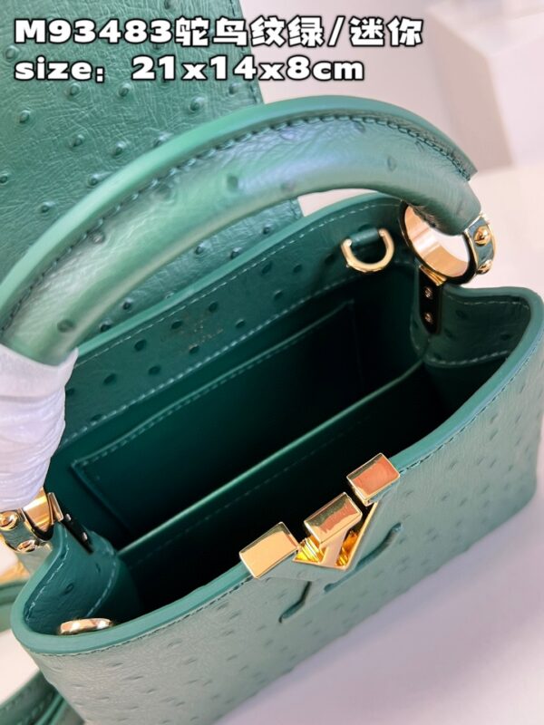 Louis Vuitton Capucines Mini