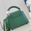 Louis Vuitton Capucines Mini
