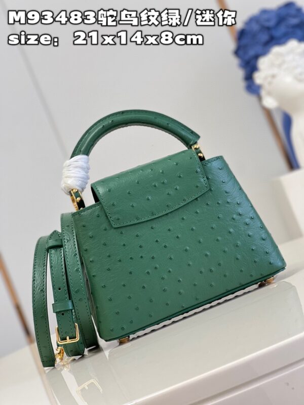 Louis Vuitton Capucines Mini