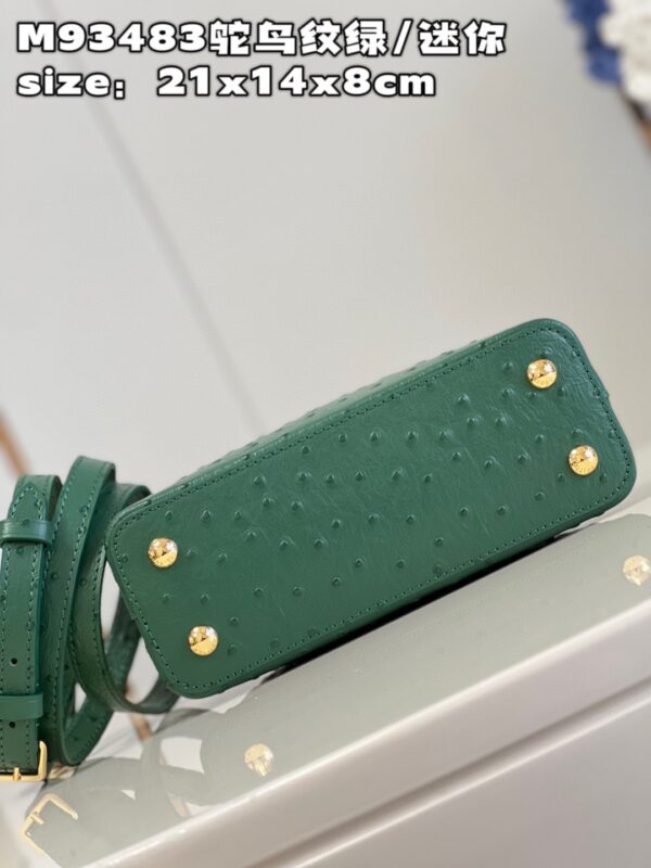 Louis Vuitton Capucines Mini