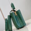 Louis Vuitton Capucines Mini