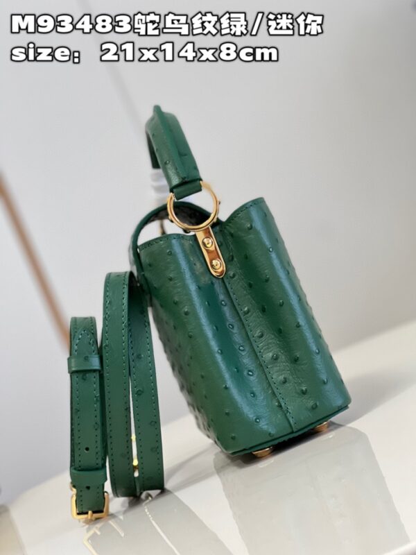 Louis Vuitton Capucines Mini