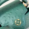 Louis Vuitton Capucines Mini