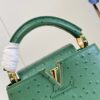 Louis Vuitton Capucines Mini