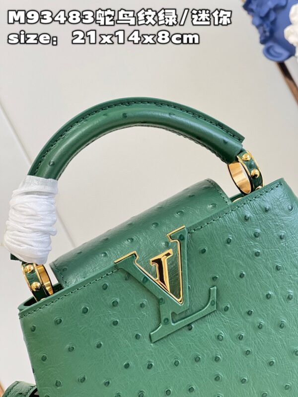 Louis Vuitton Capucines Mini