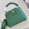 Louis Vuitton Capucines Mini