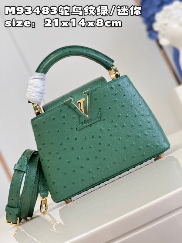 Louis Vuitton Capucines Mini