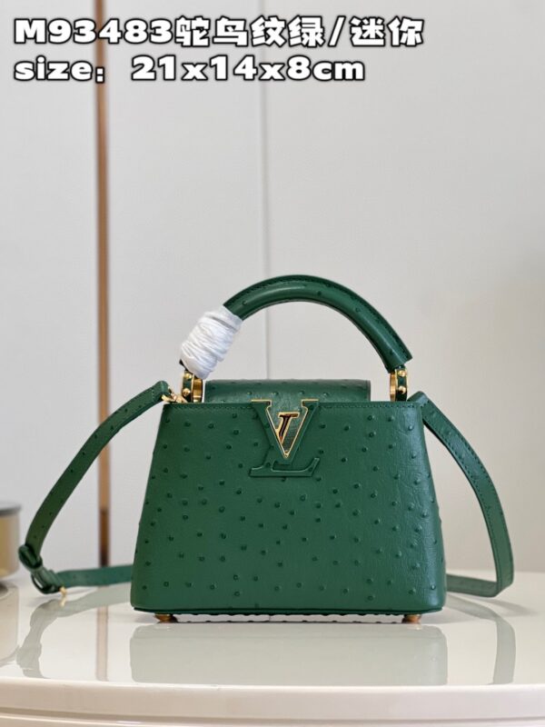Louis Vuitton Capucines Mini
