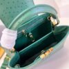 Louis Vuitton Capucines BB