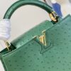 Louis Vuitton Capucines BB
