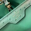 Louis Vuitton Capucines MM