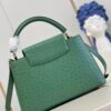Louis Vuitton Capucines MM