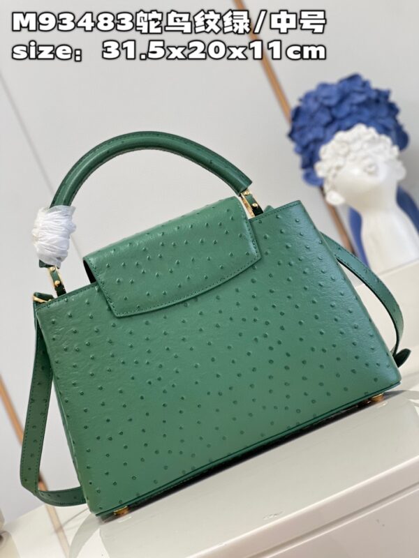 Louis Vuitton Capucines MM