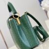 Louis Vuitton Capucines MM