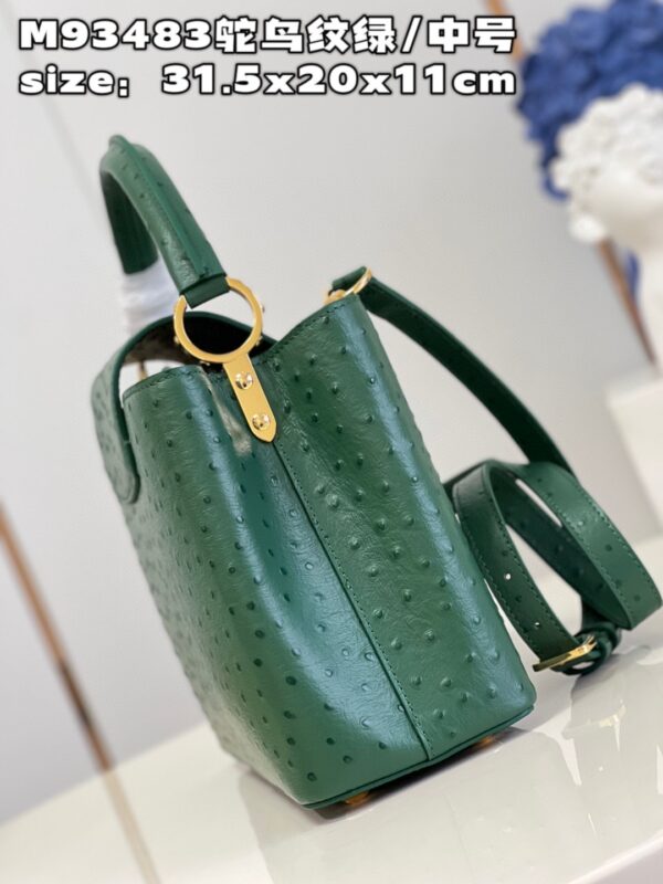 Louis Vuitton Capucines MM