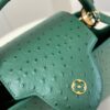 Louis Vuitton Capucines MM