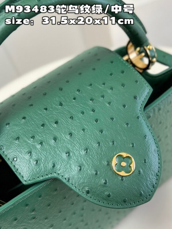 Louis Vuitton Capucines MM