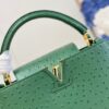 Louis Vuitton Capucines MM