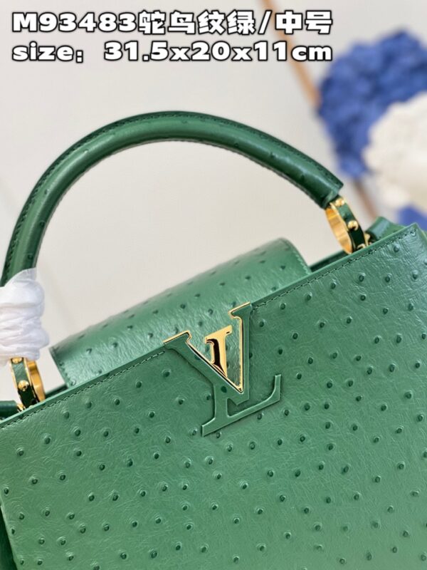 Louis Vuitton Capucines MM